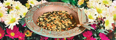 Bird Feeders