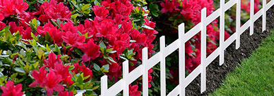 Master Mark Lawn & Garden