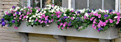 Planter Boxes