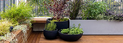 Planters