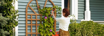 Trellises & Arches