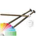 00972008030 - 3" Painted Screws for Vinyl Shutters, 030 Paintable (8/bag)