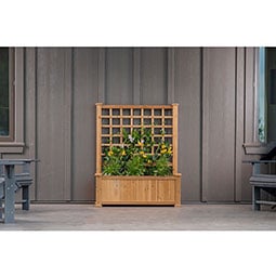 Vita VT17735 38-Inch L x 19-Inch W x 47-Inch H Rosewood Cedar