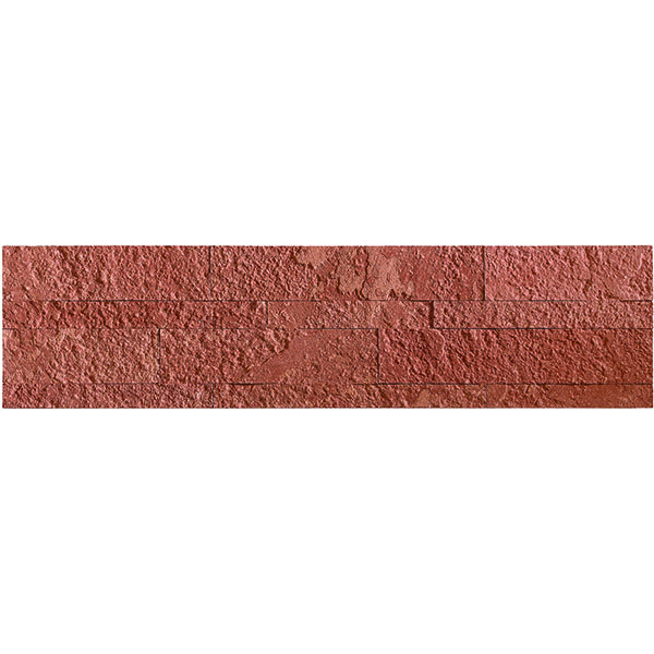 ACP BT06X24SAS