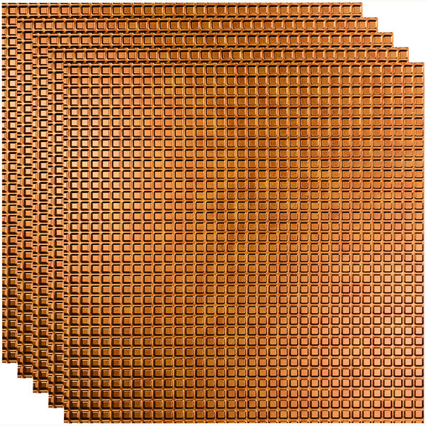 ACP FSCT2X2LANB