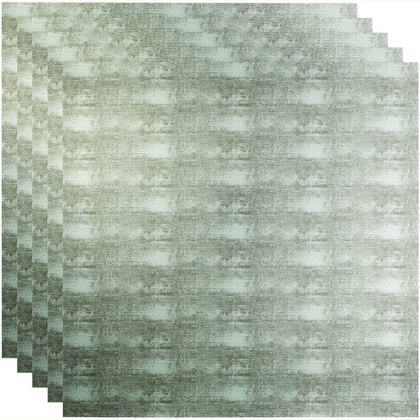 ACP FFPCT2X2LCS