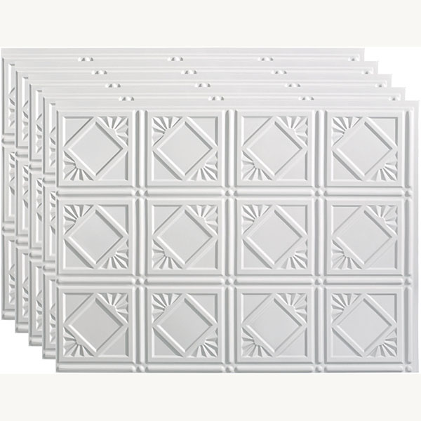 ACP FTSP4B18X245PGW