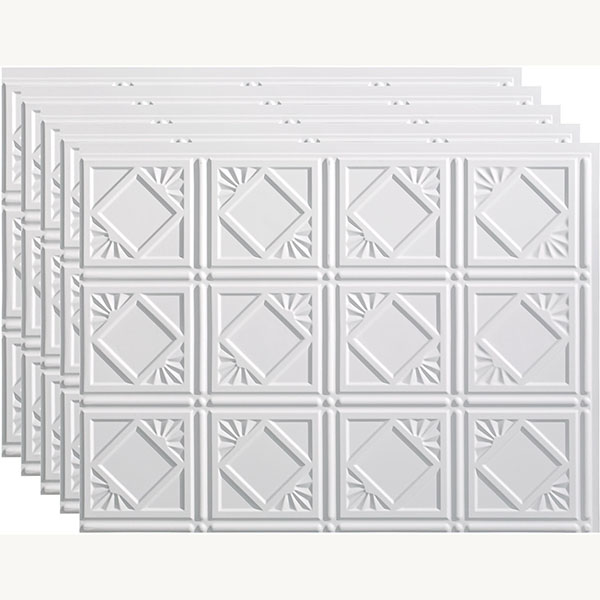ACP FTSP4B18X245PMW