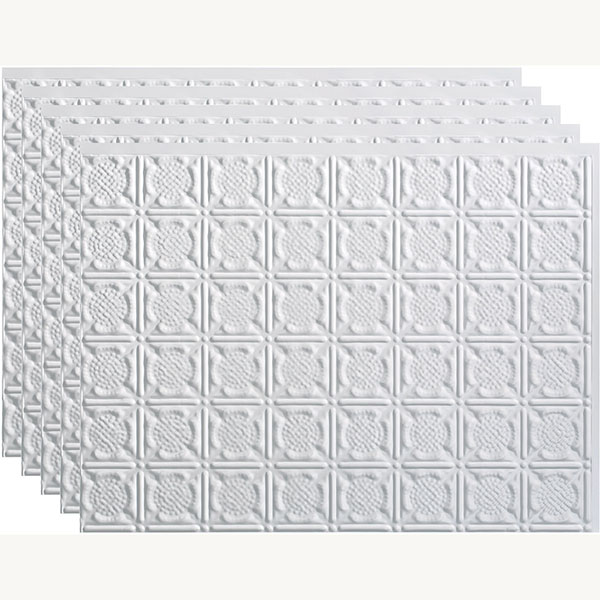 ACP FTSP6B18X245PGW