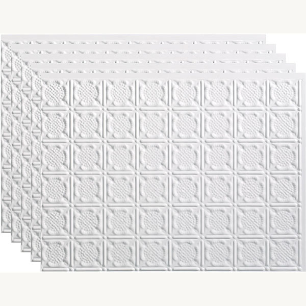 ACP FTSP6B18X245PMW