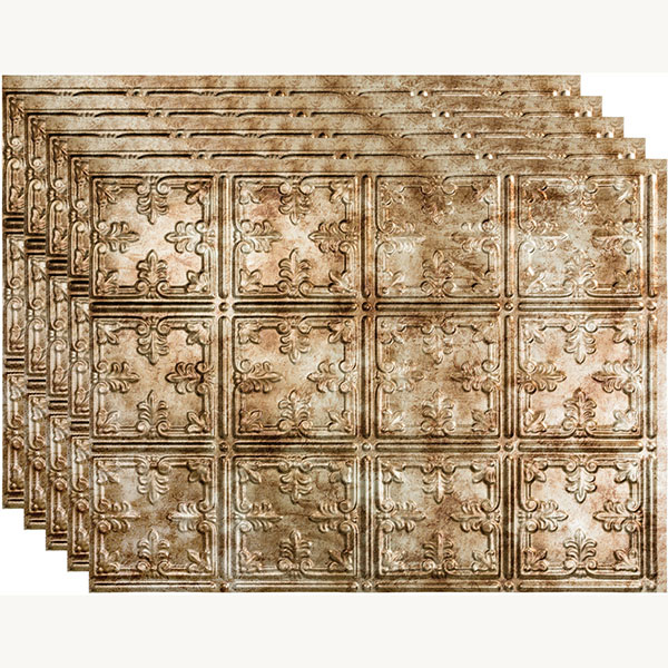 ACP FTSP10B18X245PBB