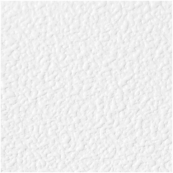 ACP SAMPLE-CT06X06SSPL12PWH