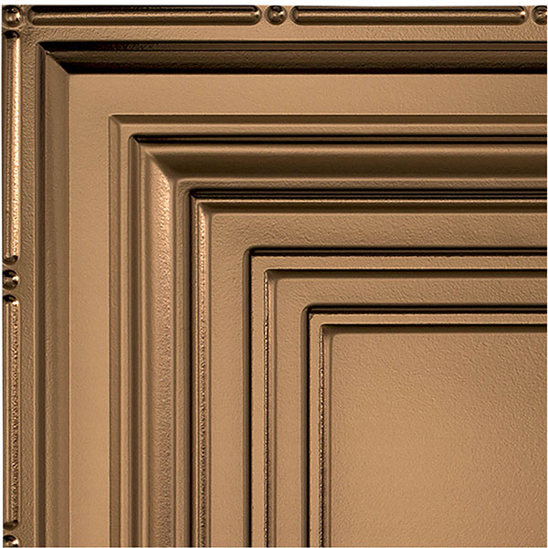 ACP SAMPLE-FTPS3CT12X12GORB