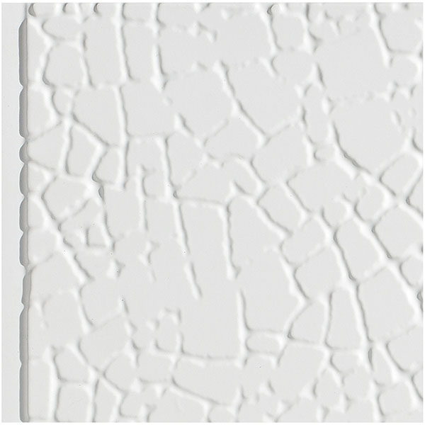 ACP SAMPLE-FSAB06X065PMW
