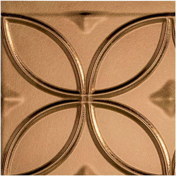 ACP SAMPLE-BK06X06RGAN