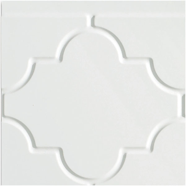 ACP SAMPLE-FMOB06X065PGW