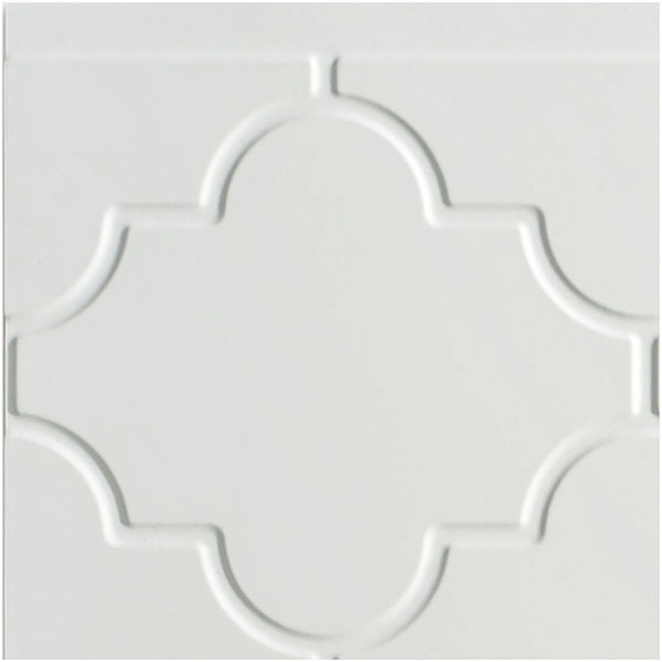 ACP SAMPLE-FMOB06X065PMW