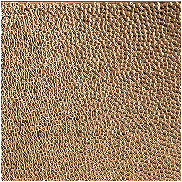 ACP SAMPLE-FBFCT12X12LPC