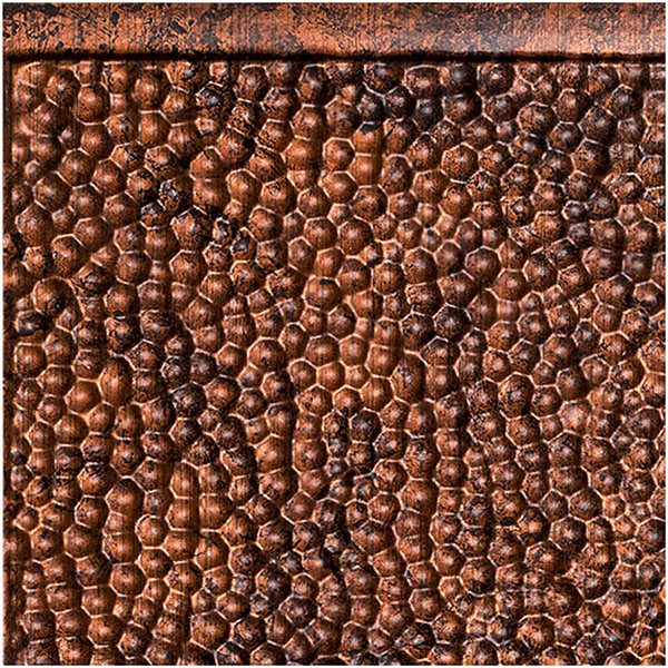 ACP SAMPLE-BK06X06HAMC