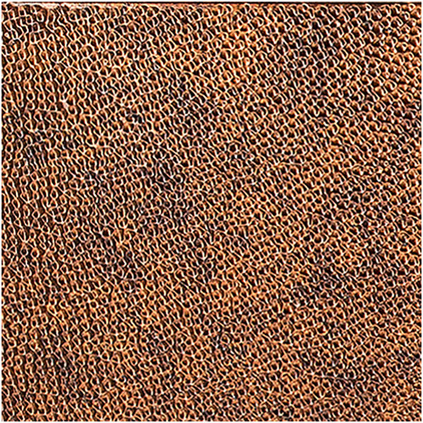 ACP SAMPLE-FBFCT12X12GMC