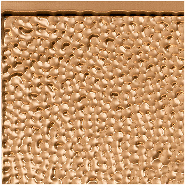 ACP SAMPLE-BK06X06HAPC