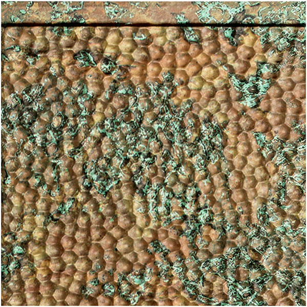 ACP SAMPLE-FHB06X065PCF