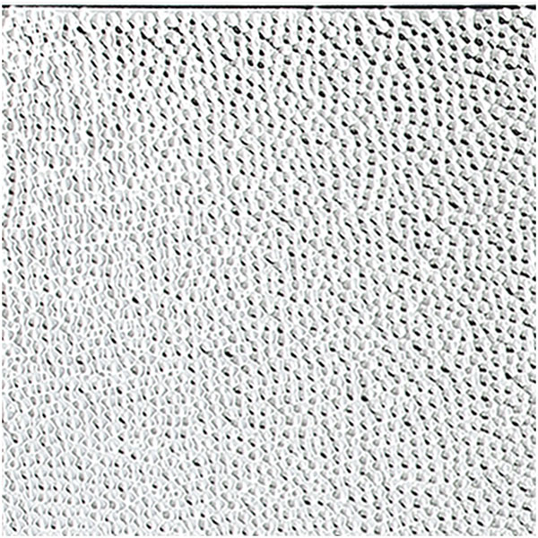 ACP SAMPLE-FBFCT12X12LBA