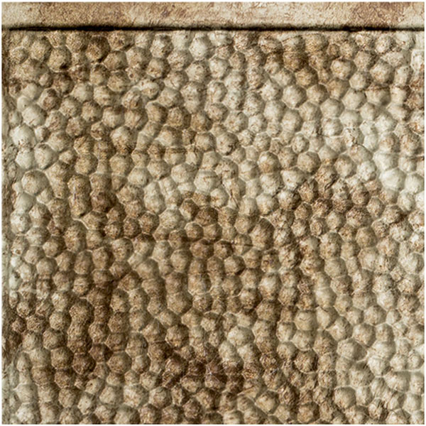 ACP SAMPLE-FHB06X065PBB