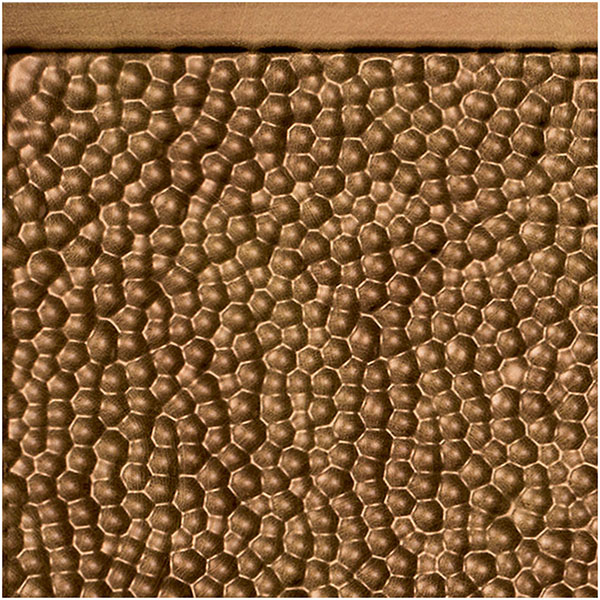 ACP SAMPLE-FHB06X065PANB