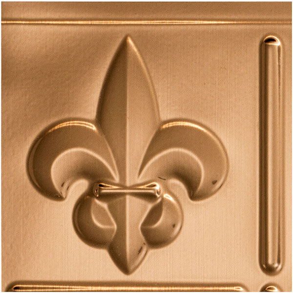 ACP SAMPLE-BK06X06FLPC