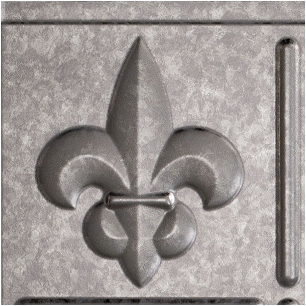 ACP SAMPLE-BK06X06FLGS