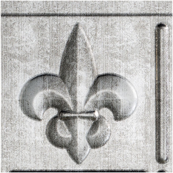 ACP SAMPLE-BK06X06FLCS