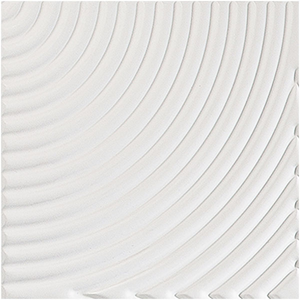 ACP SAMPLE-WP12X12ECMW