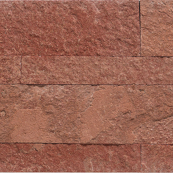 ACP SAMPLE-BT06X06SAS