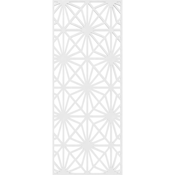 Ekena Millwork WALP20X50PAW
