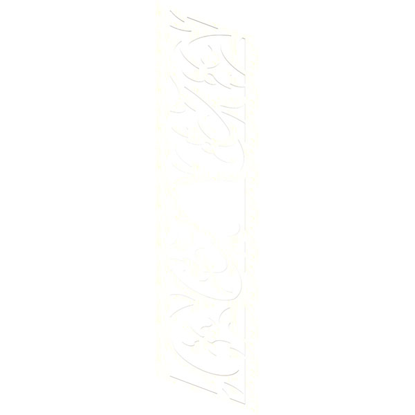 Ekena Millwork WALW22X88X0375OLIBI