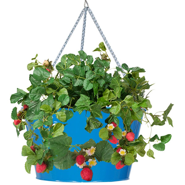 Houston International Trading HI8495E-B 14-Inch W x 14-Inch D x 8-Inch H  Enameled Galvanized Strawberry, Floral Hanging Planter, Blue
