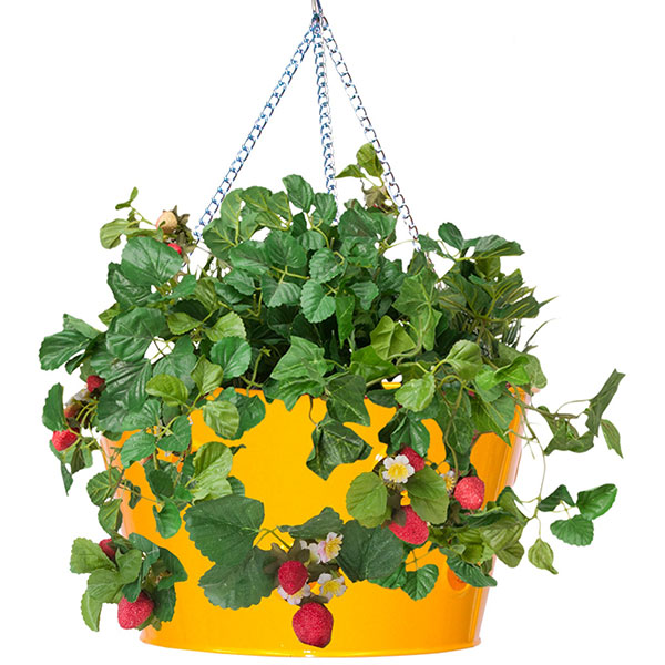 Houston International Trading 8495E SAFF Enameled Galvanized Hanging Strawberry & Flower Planter Saffron