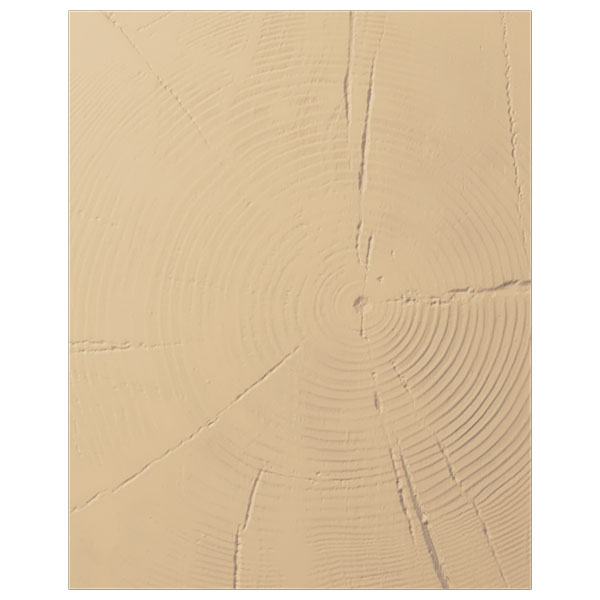 Ekena Millwork BMC08X10