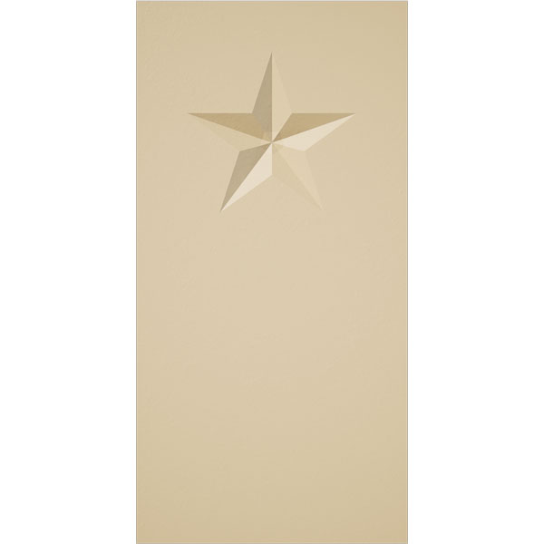 Ekena Millwork PBS020X040X050FOS06