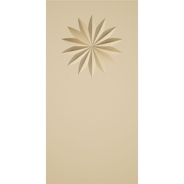 Ekena Millwork PBS020X040X050FOS09