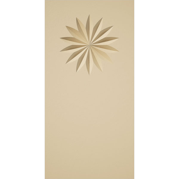 Ekena Millwork PBS020X040X100FOS09