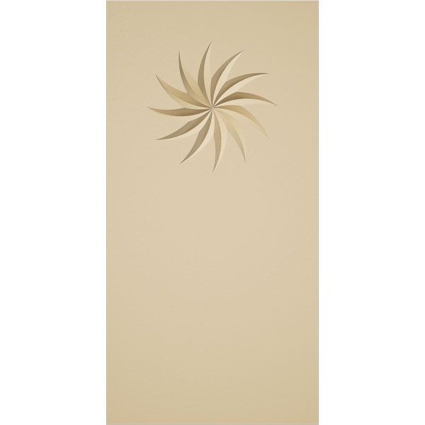 Ekena Millwork PBS025X050X100FOS12