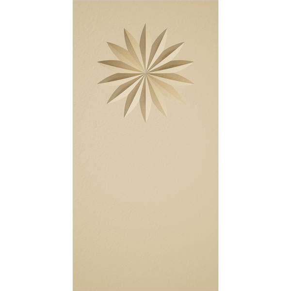 Ekena Millwork PBS020X040X125FOS09