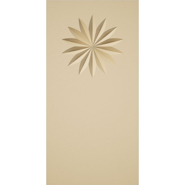 Ekena Millwork PBS020X040X150FOS09