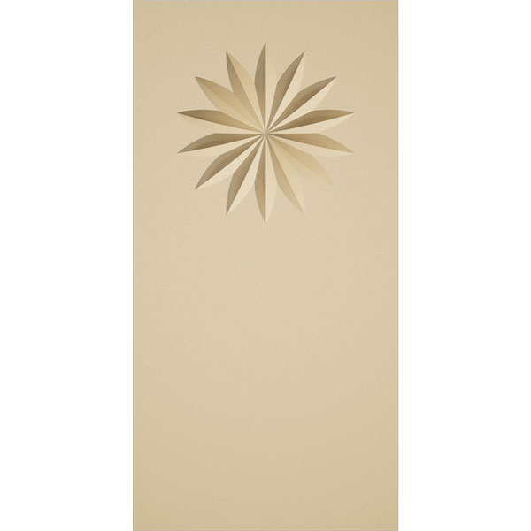 Ekena Millwork PBS025X050X150FOS09