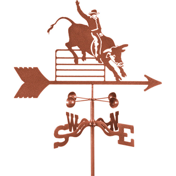 EZ Vane, Inc. VSBULLRM