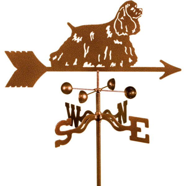 EZ Vane, Inc. VSCSDGTG