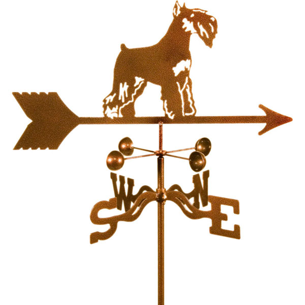 EZ Vane, Inc. VSSCHNTP
