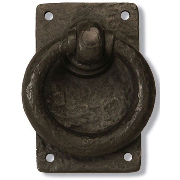 Coastal Bronze 800-50-PAS
